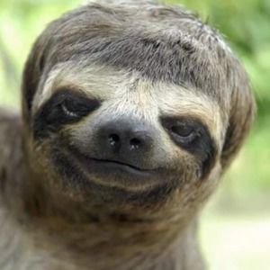 Meet your Posher, Gray